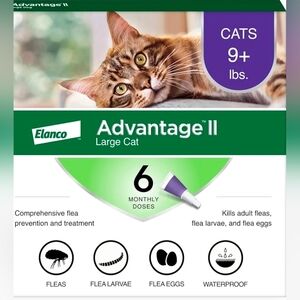 Uniform Advantage Cat Flea Treatment - Green & Purple